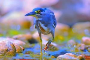 2026年世界杯，全球足球的 next 大事2026年世界杯