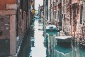 2026年世界杯，巴西再迎全球足球盛事2026年世界杯在哪个城市举行